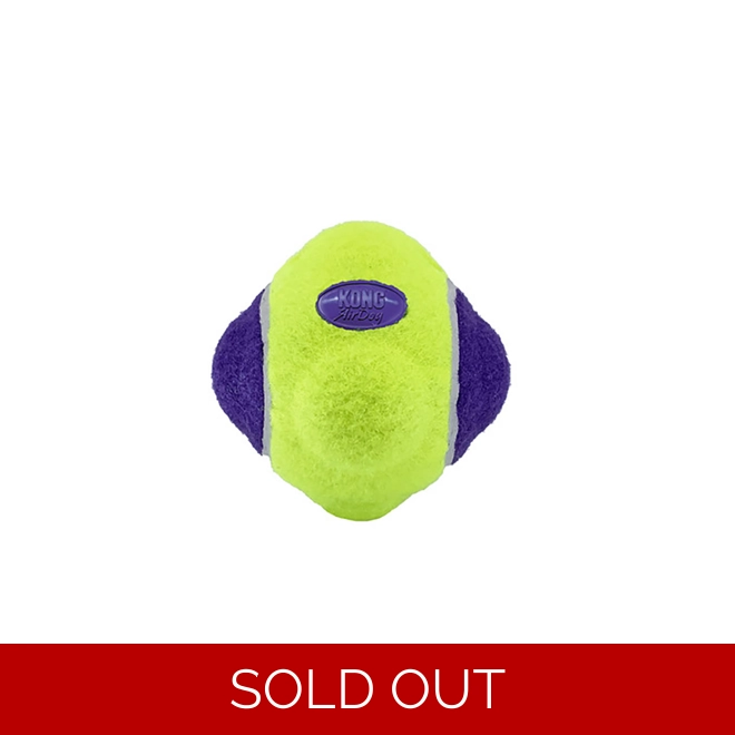 product Image for KONG AirDog Squeaker Knobby Ball